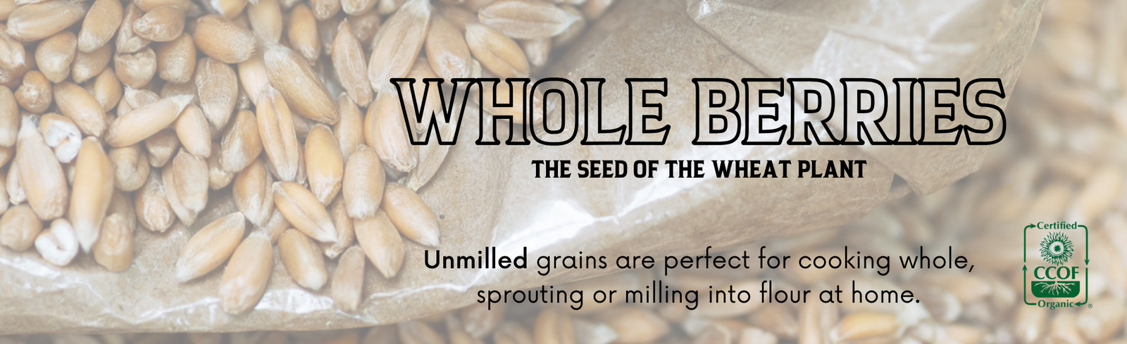 Unmilled Organic Whole Berries