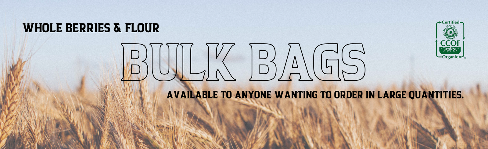 Bulk Bags
