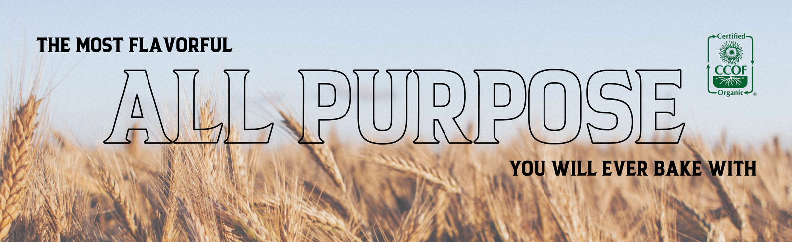 Organic All Purpose Flour