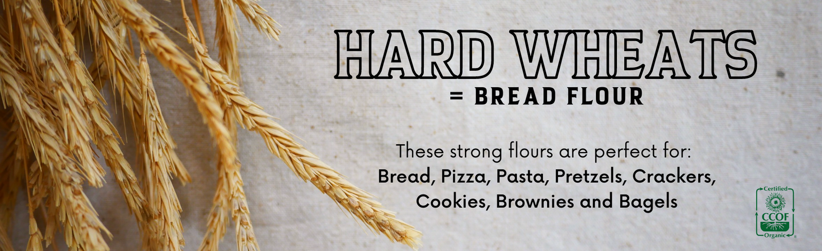Organic Bread Flours