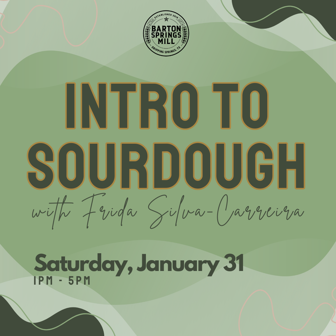 JANUARY 31, 2026: Intro to Sourdough