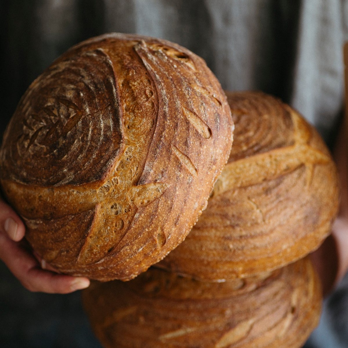 Bread Flours Bundle (certified organic)