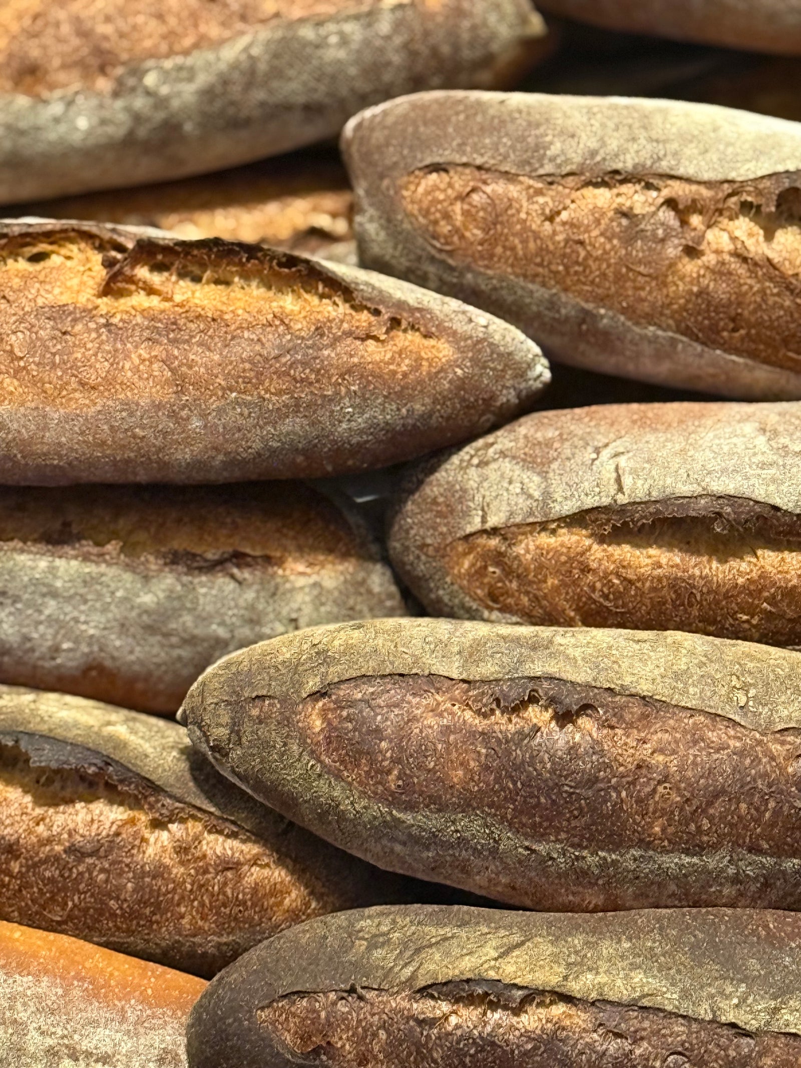 APRIL 12, 2026: Sourdough Birotes