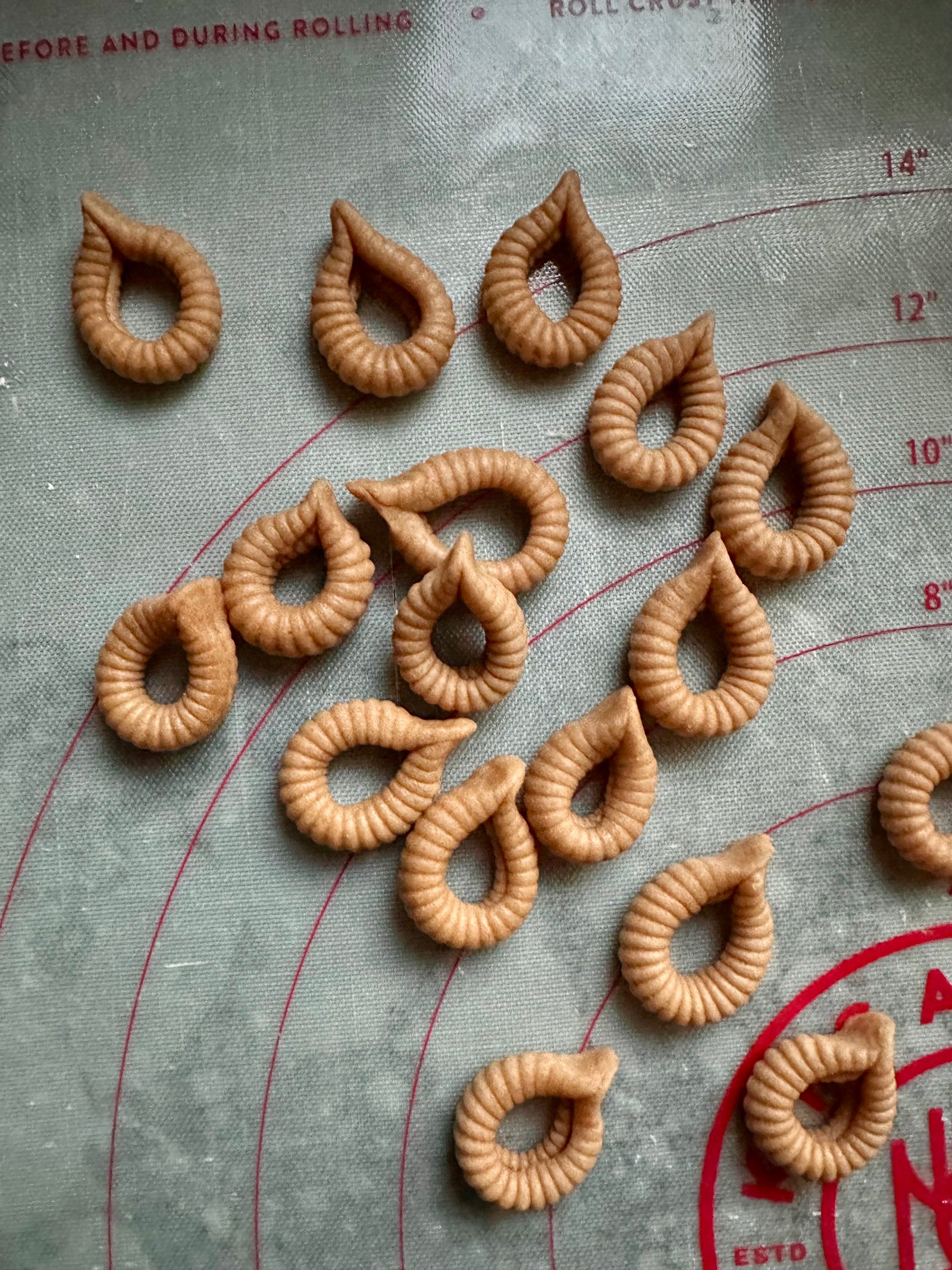 APRIL 25, 2026: Hand-Cut Pasta