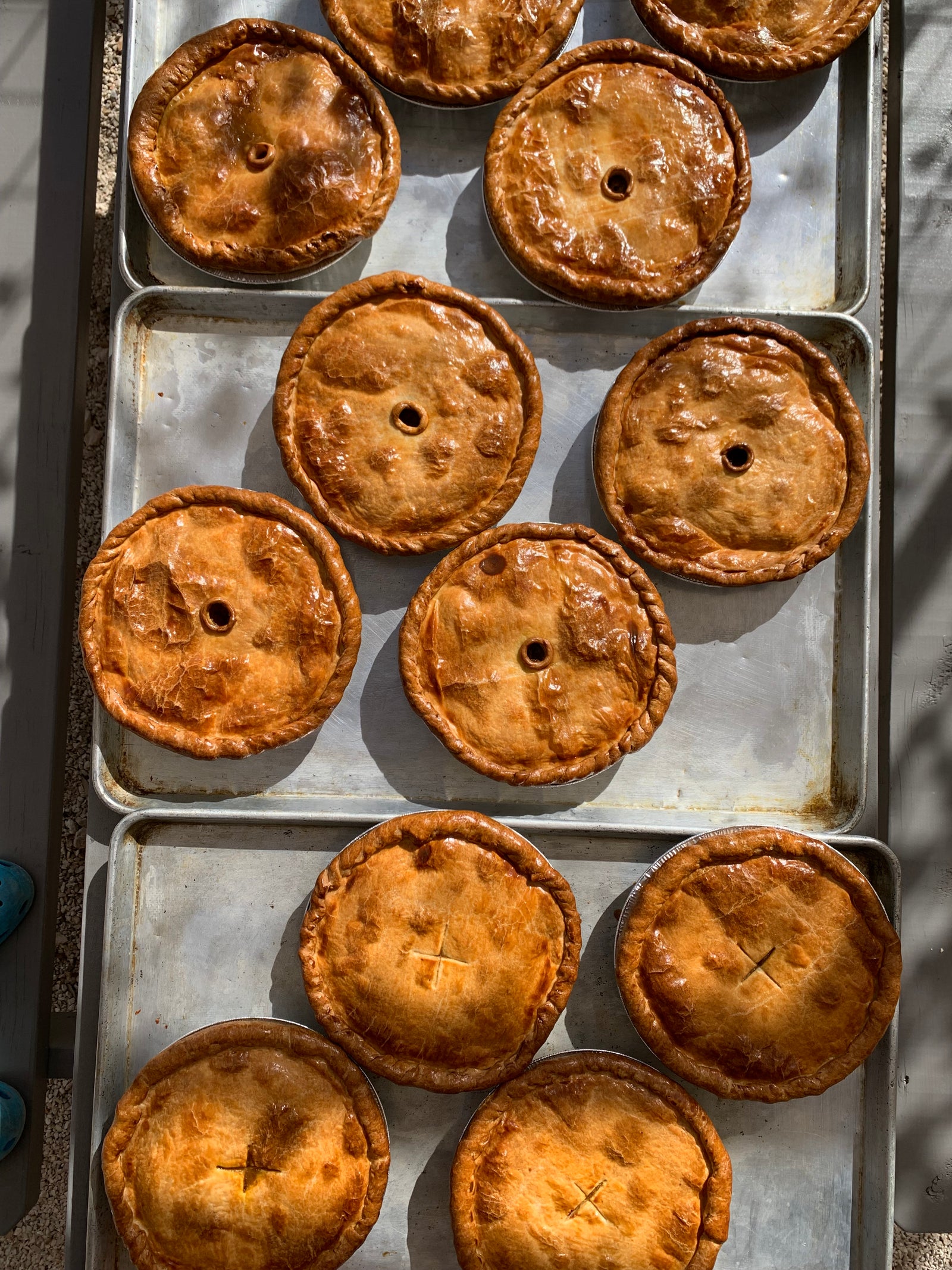 NOVEMBER 8, 2026: Savory Pies