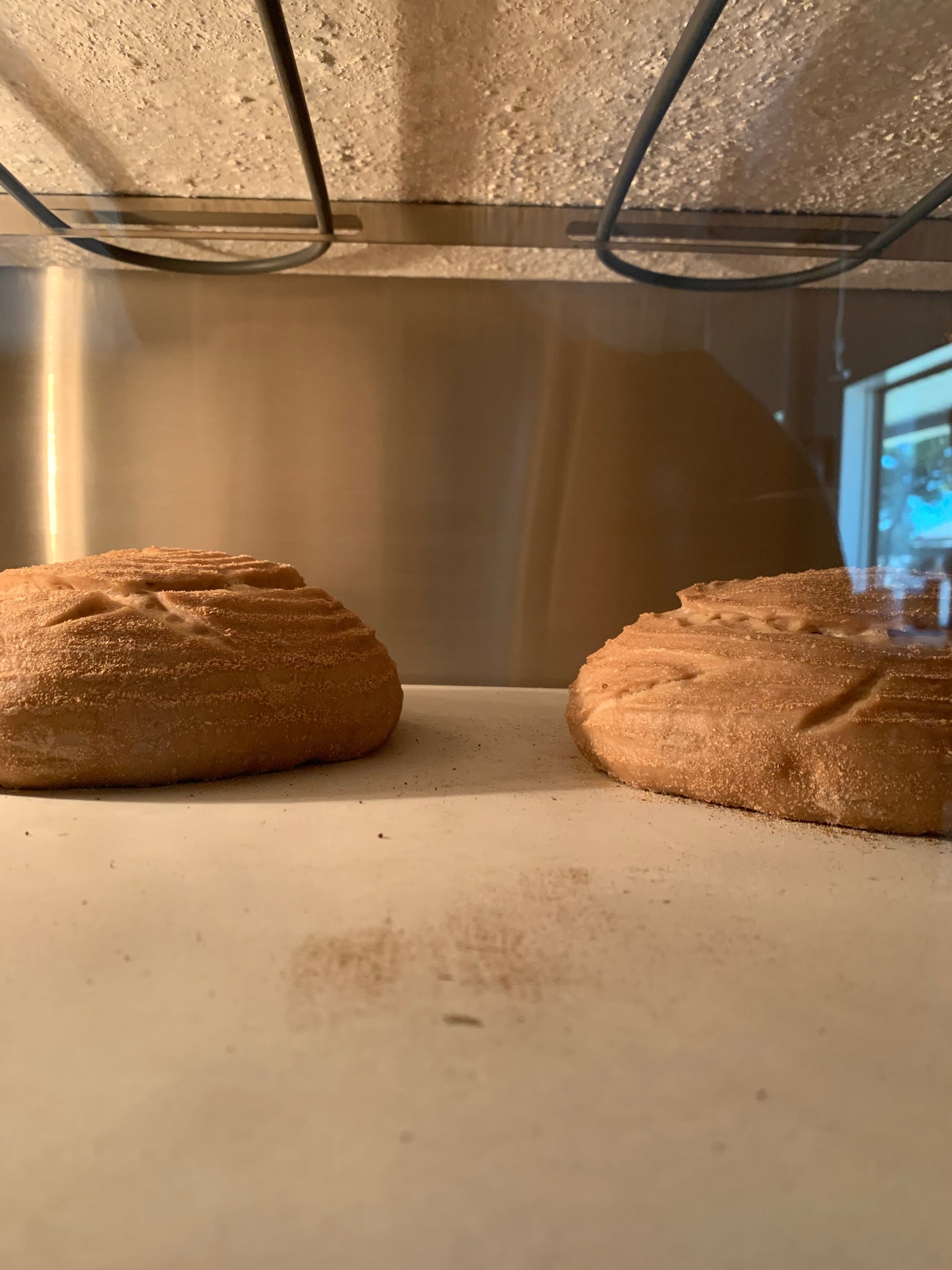 WAITLIST: Intro to Sourdough