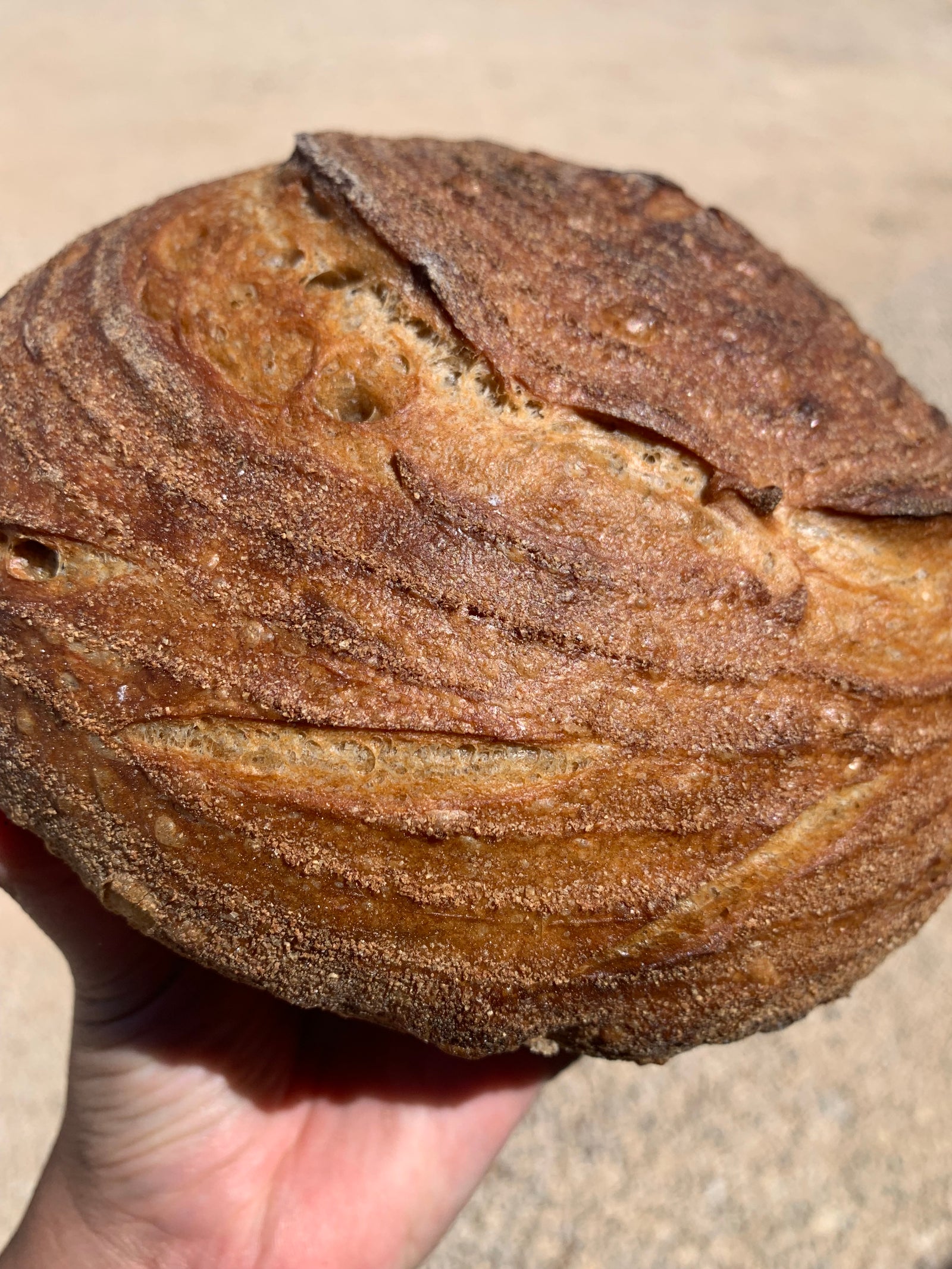 WAITLIST: Intro to Sourdough