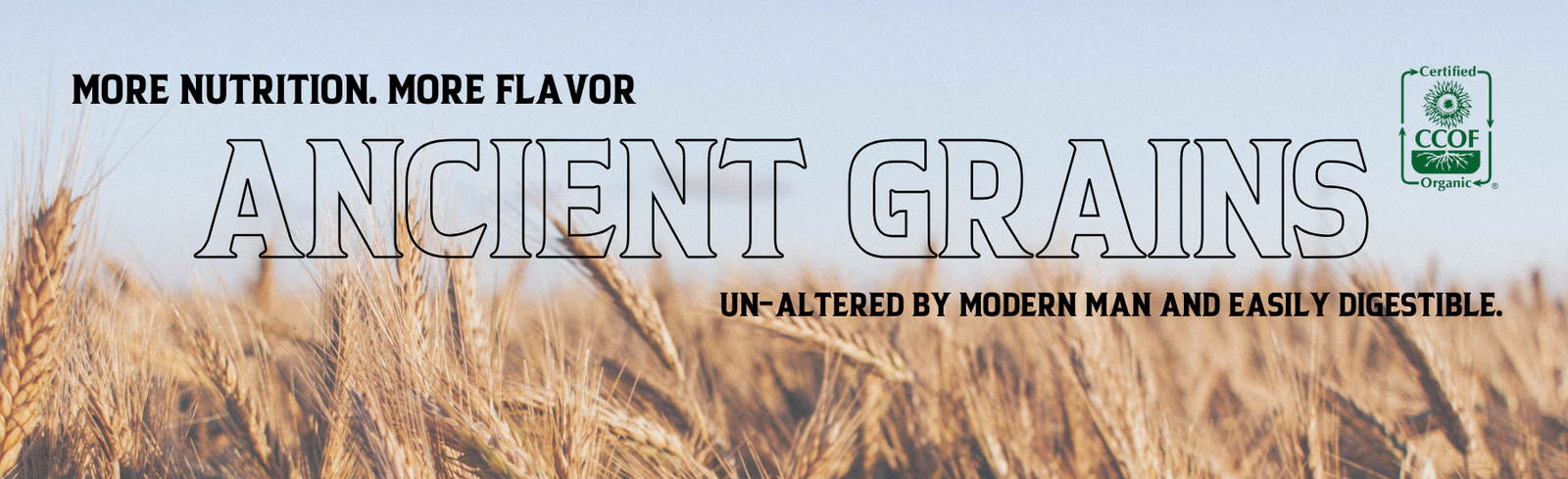 Organic Ancient Grains