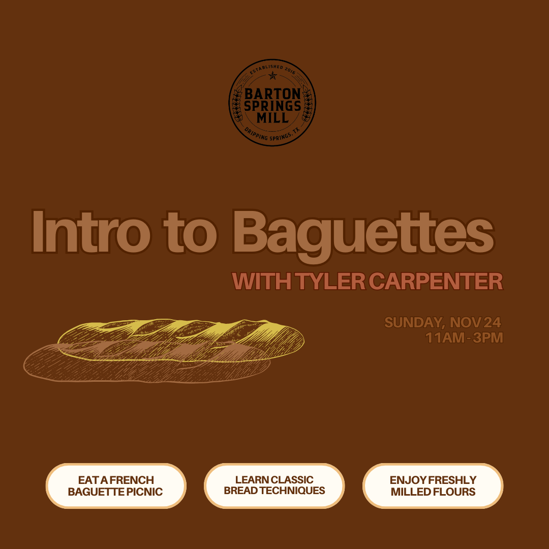 NOVEMBER 24,2024: Intro to Baguettes