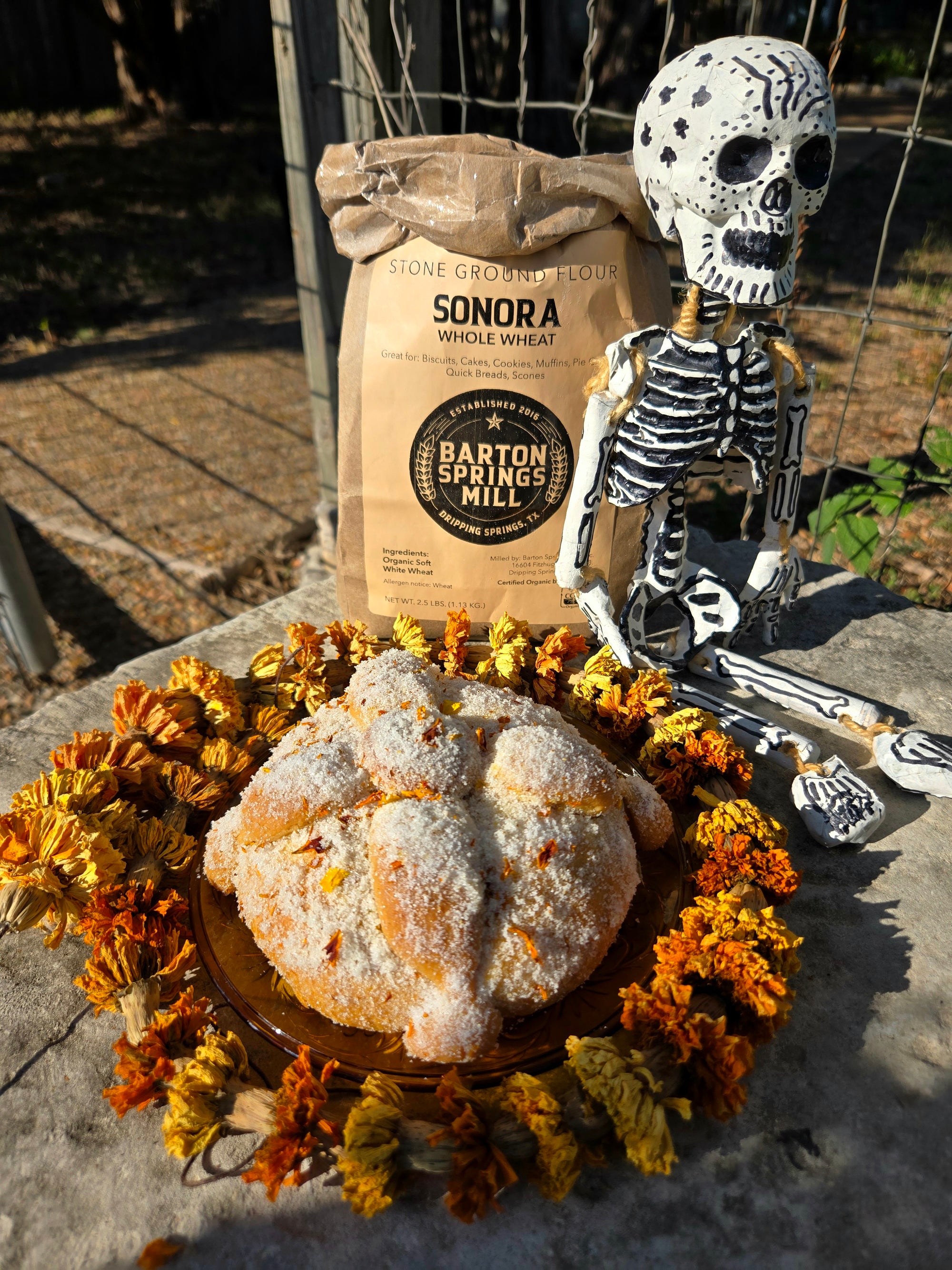 OCTOBER 26, 2024: Pan De Muerto