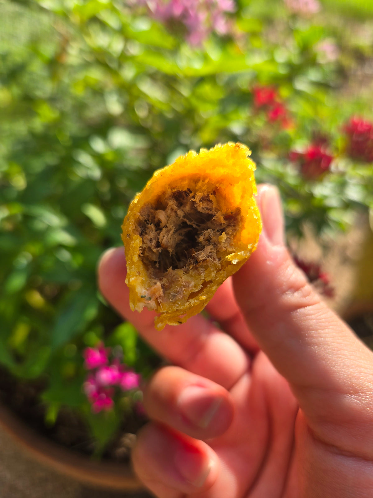SEPTEMBER 26, 2026: Parent & Me - Taquitos