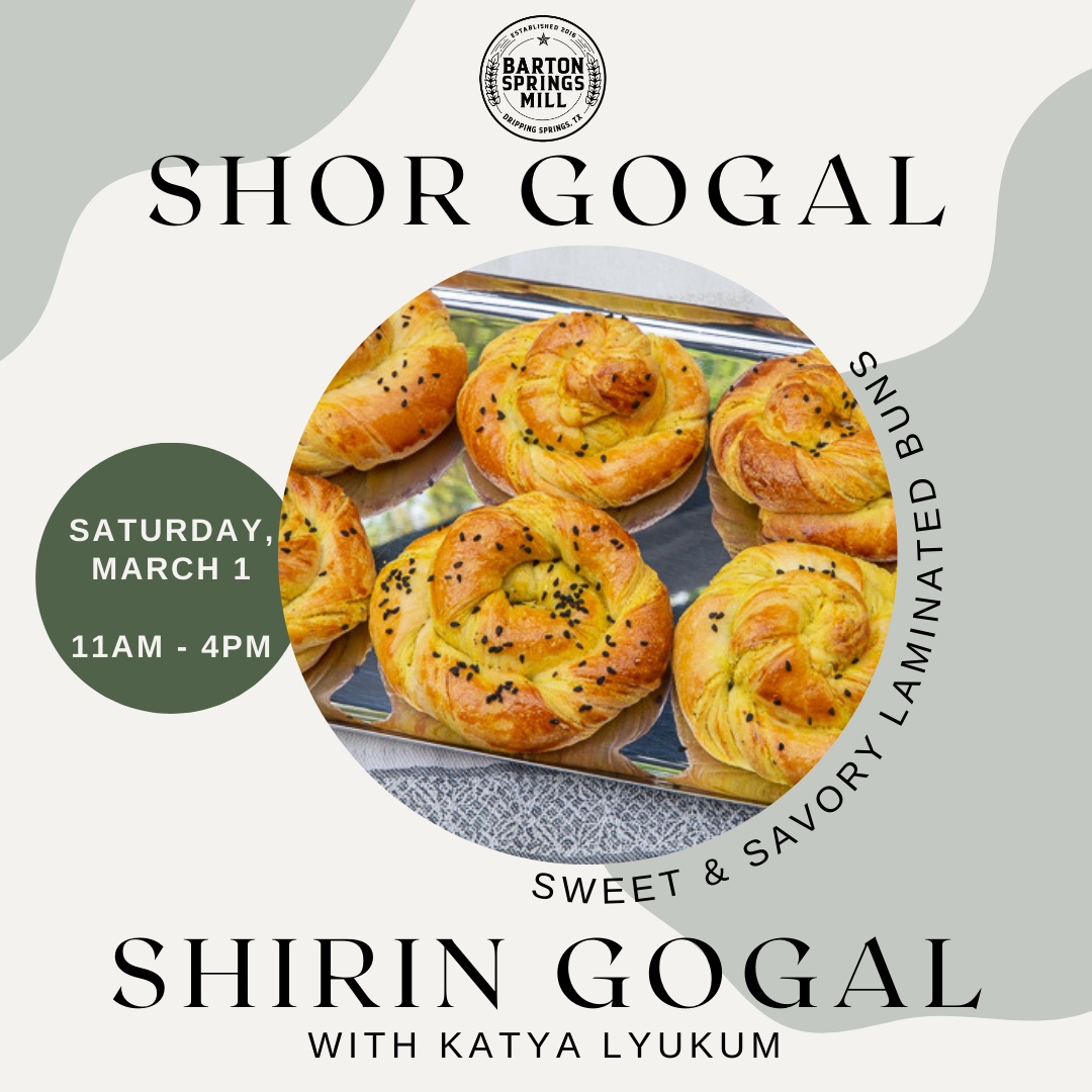 MARCH 1, 2025: Shor &amp; Shirin Gogal - Spring Equinox Buns