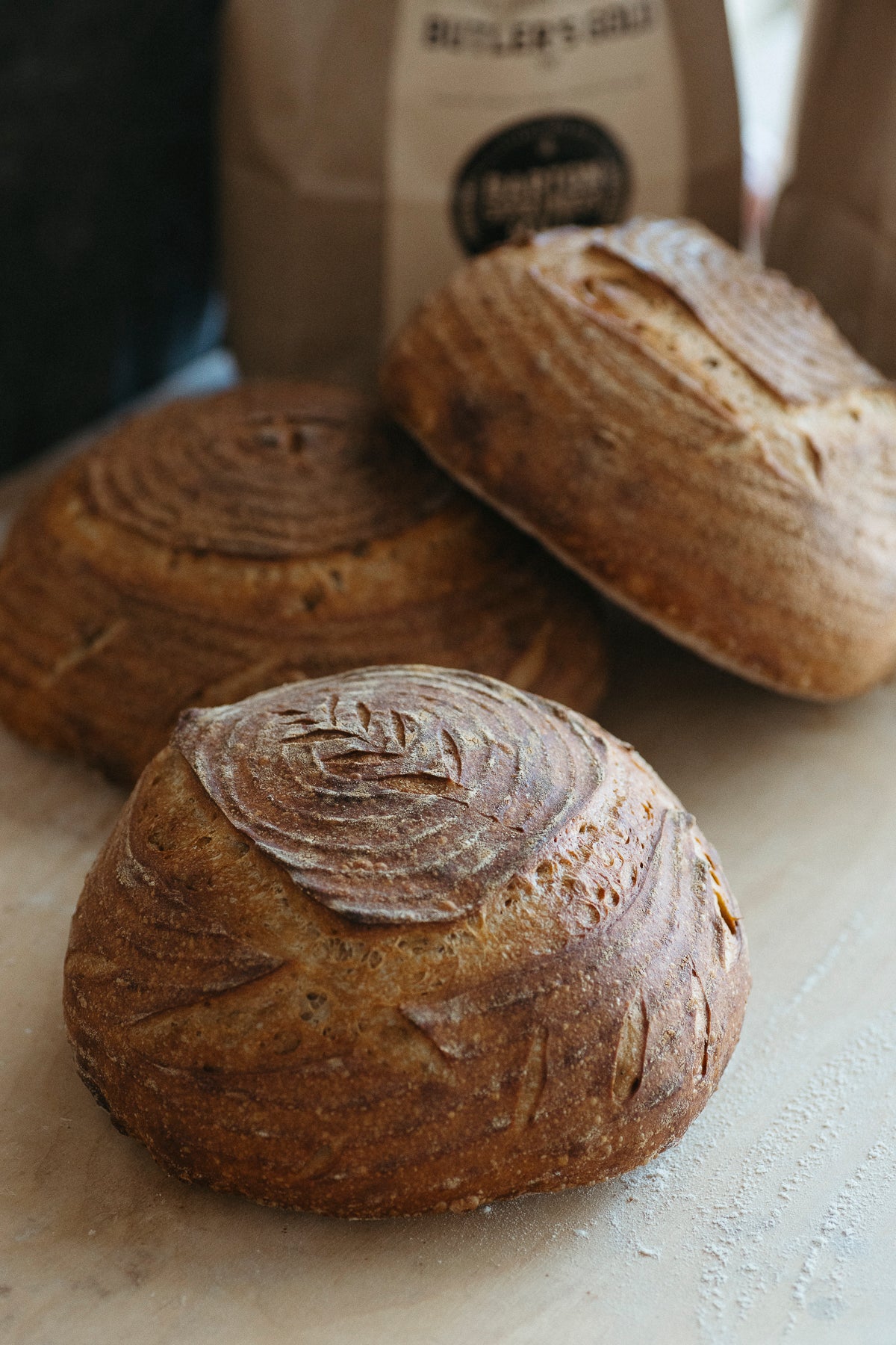 The Sourdough Gift Kit (certified organic)