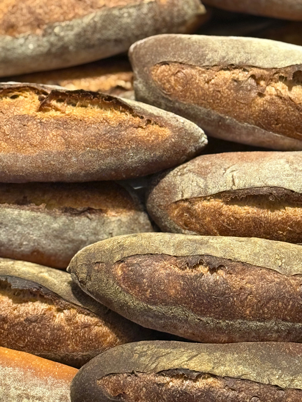 APRIL 12, 2026: Sourdough Birotes