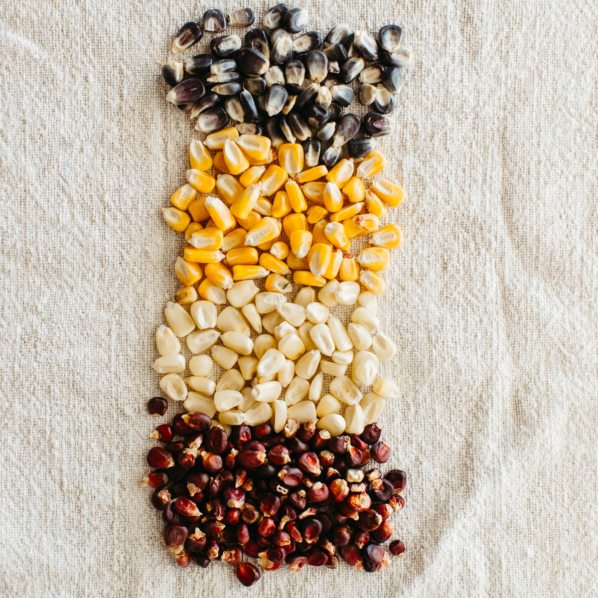 New! Whole Corn Kernel Bundle (certified organic)