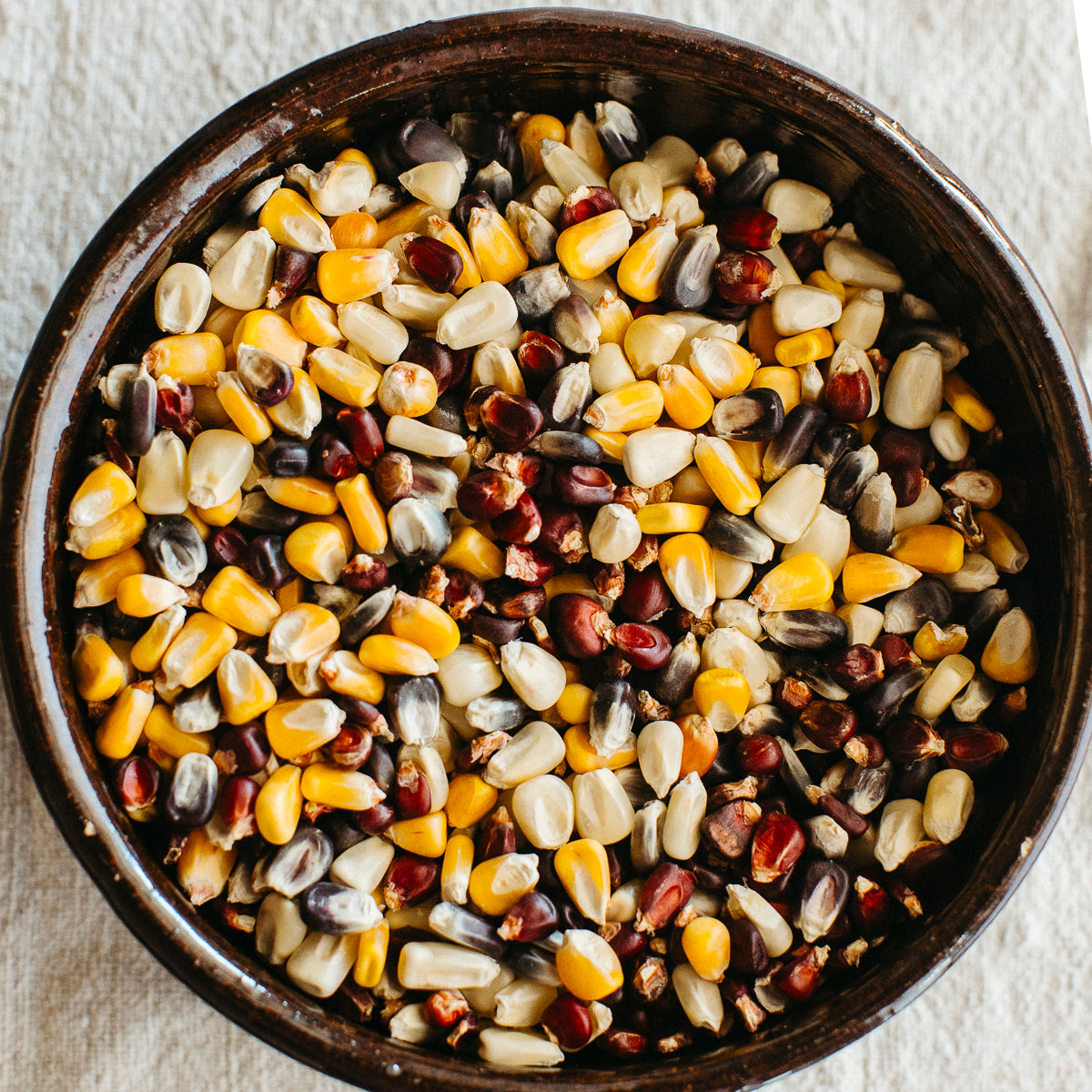 New! Whole Corn Kernel Bundle (certified organic)