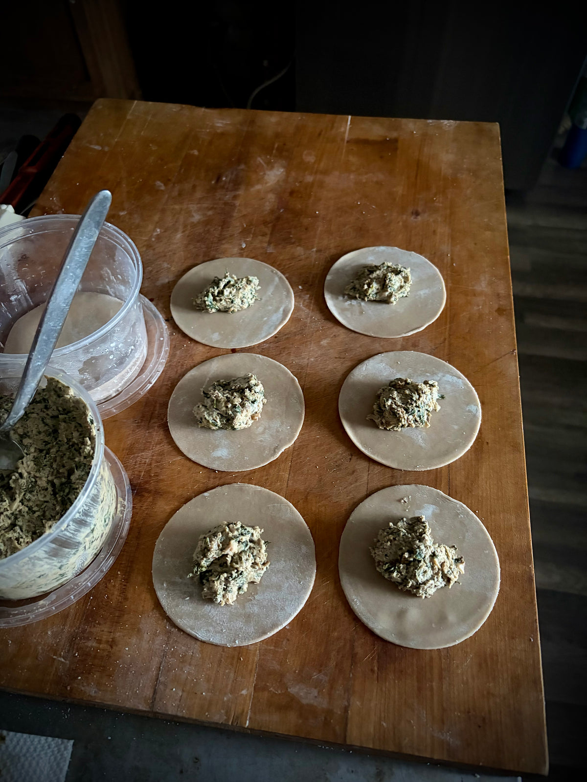 APRIL 11, 2026: Dumplings 101!