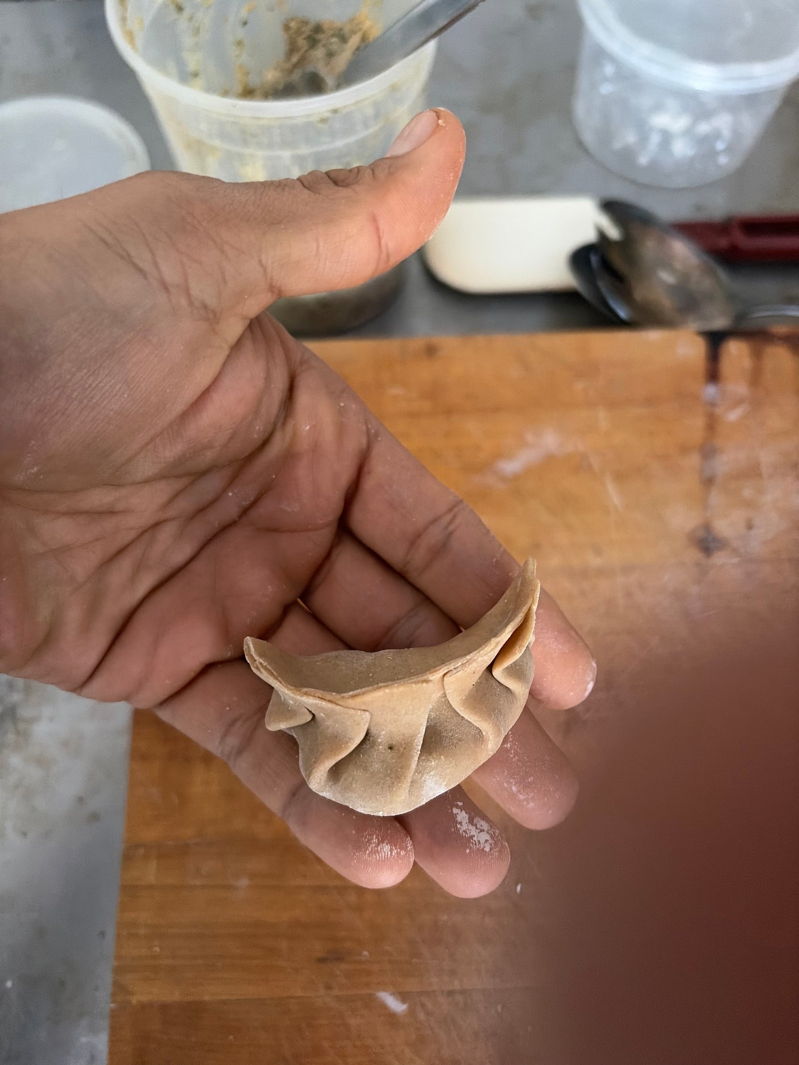 APRIL 11, 2026: Dumplings 101!