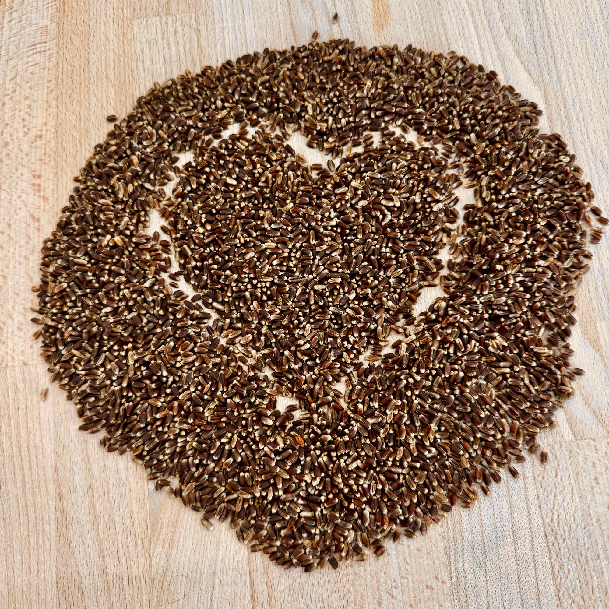 New! Heartwell Purple Wheat (certified organic)