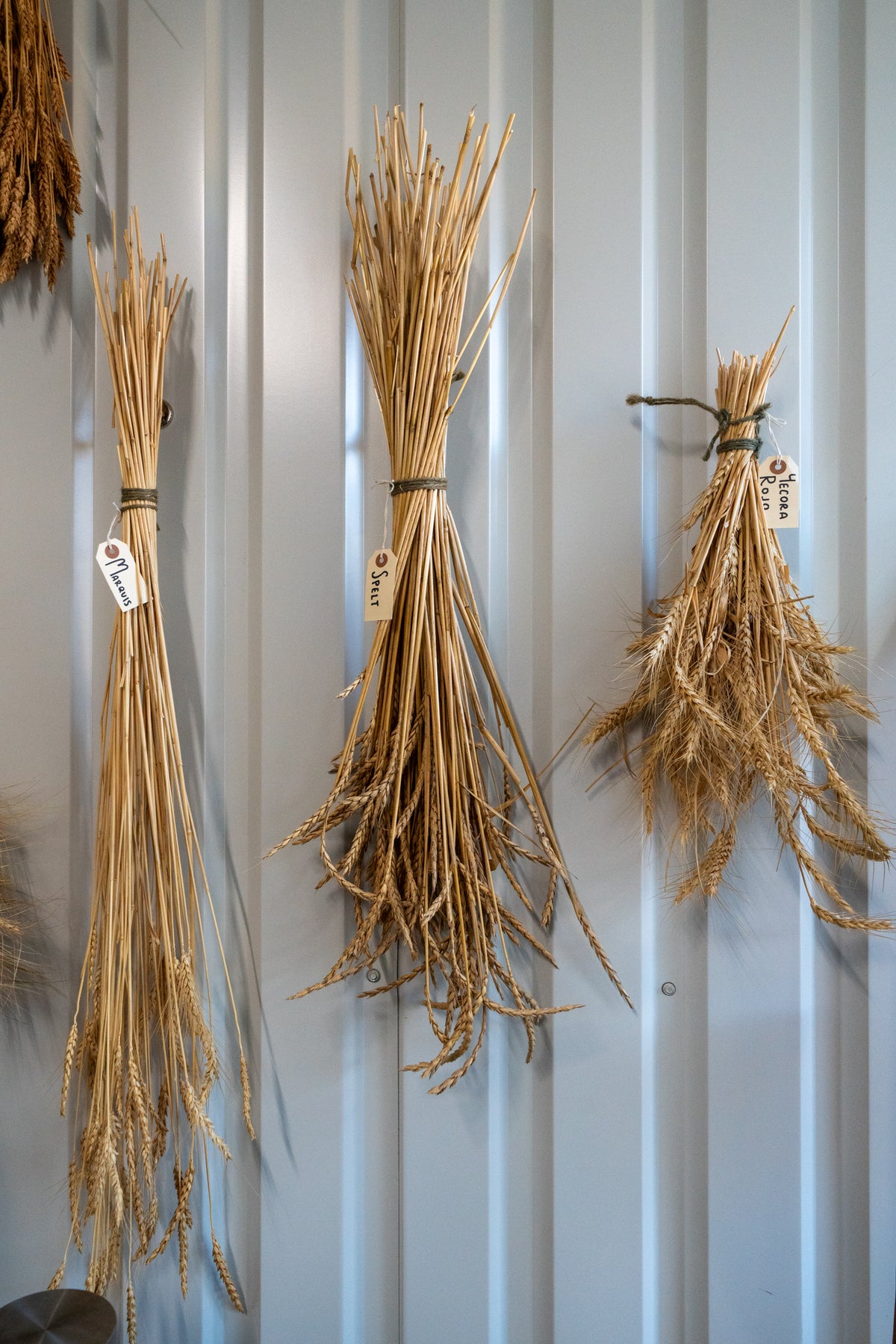 TOUR: Friday, 1/16/2026 (CLOSE-TOED SHOES REQUIRED)