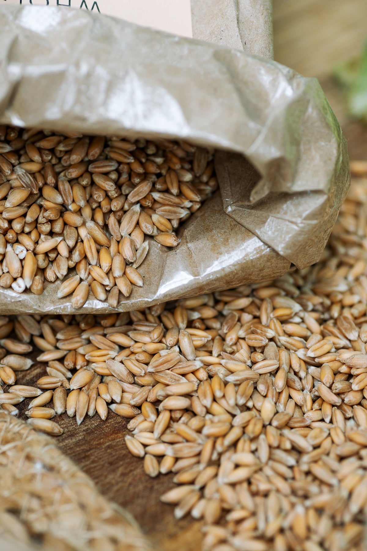 Spelt spelt