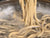 MAY 2, 2025: Udon Noodles Workshop