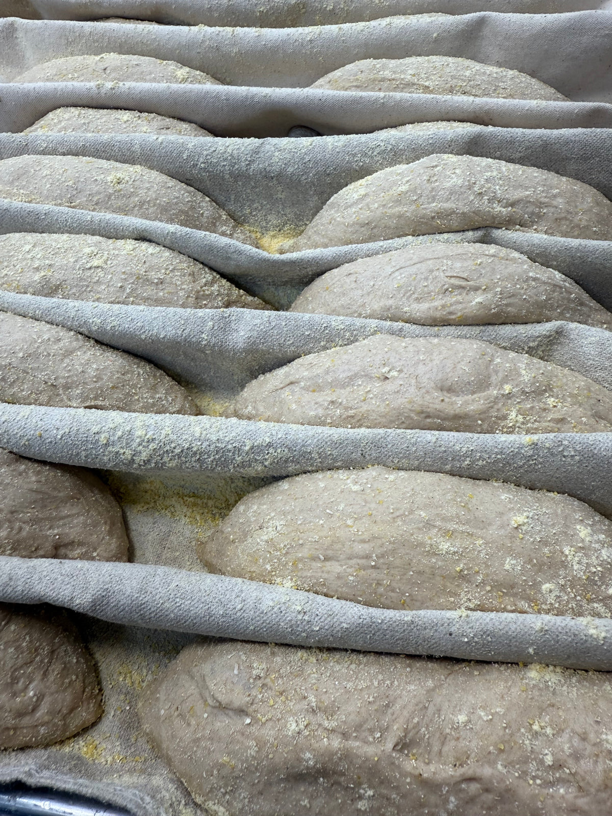 APRIL 12, 2026: Sourdough Birotes