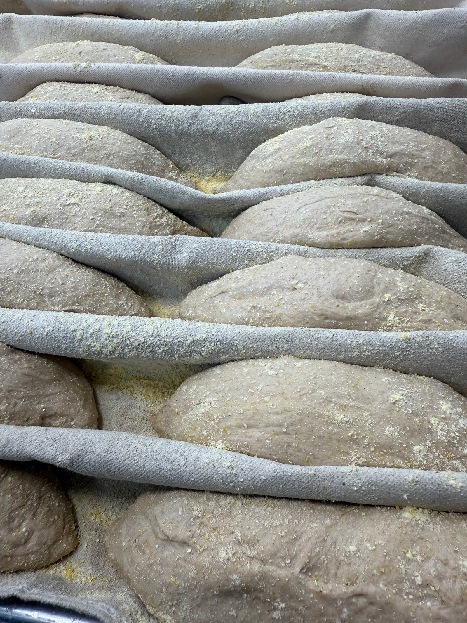 APRIL 12, 2026: Sourdough Birotes