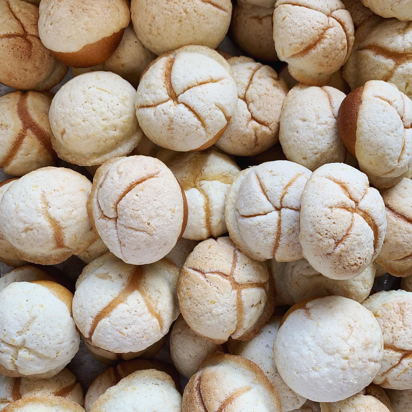 MARCH 23, 2025: Conchas - Pan Dulce