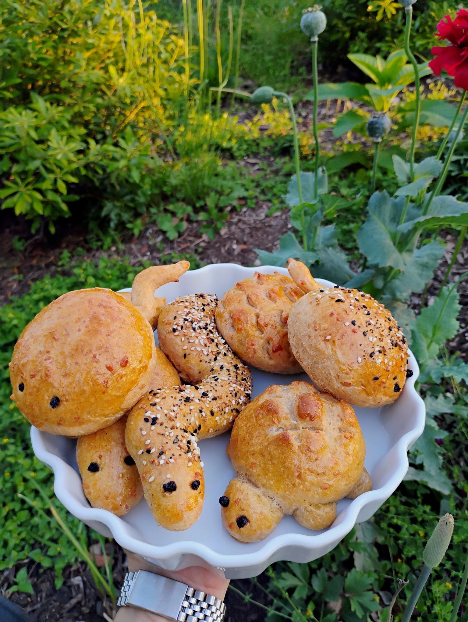 JULY 19, 2026: Parent & Me - Cheesy Animal Breads (Partner Class)