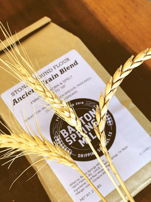 Ancient Grain Blend (certified organic)