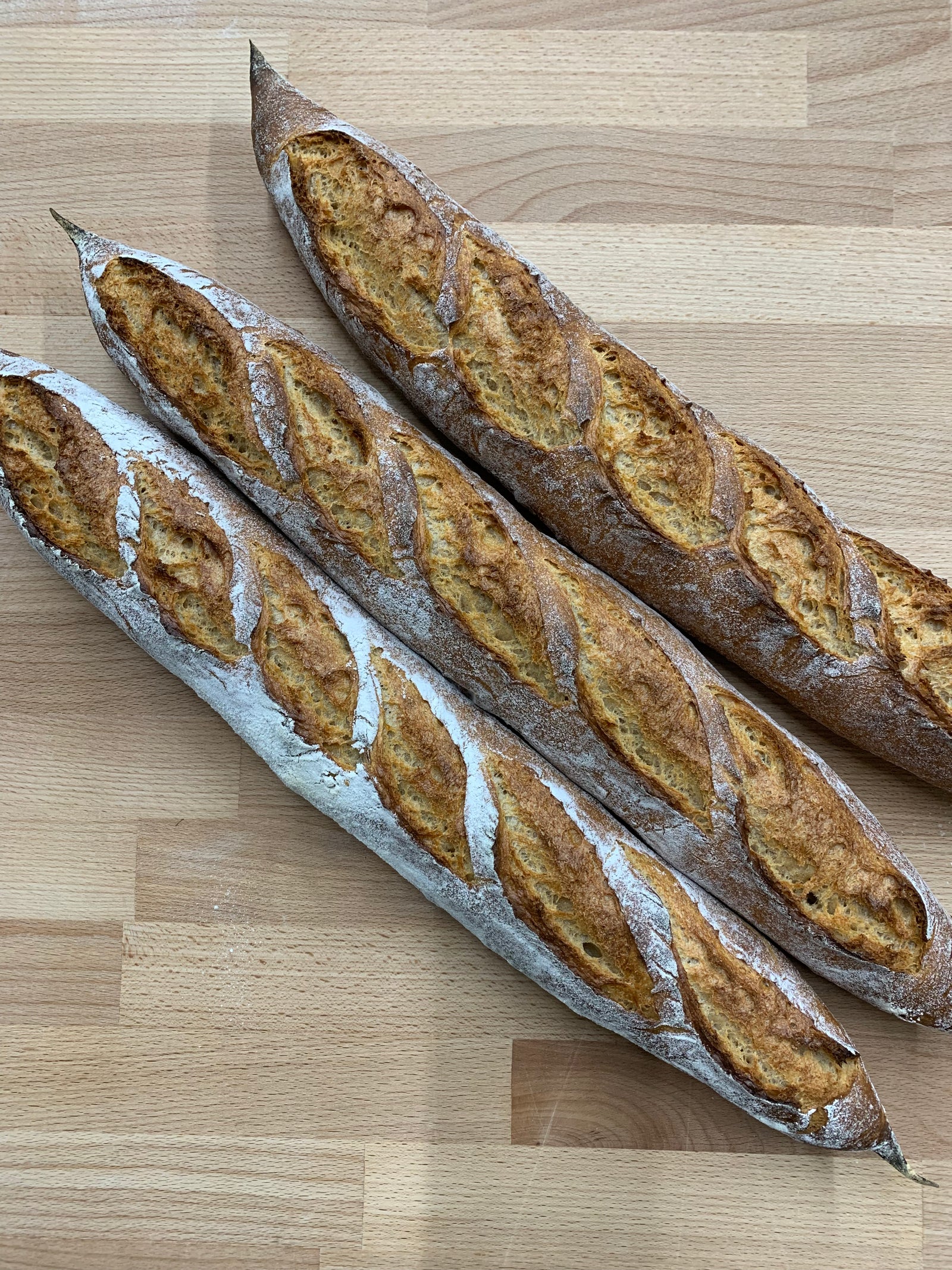 NOVEMBER 23, 2025: Intro to Baguettes