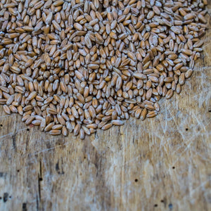 Milled turkey red wheat from Texas