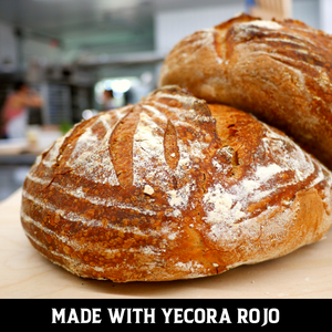 Yecora Rojo Flour (certified organic)