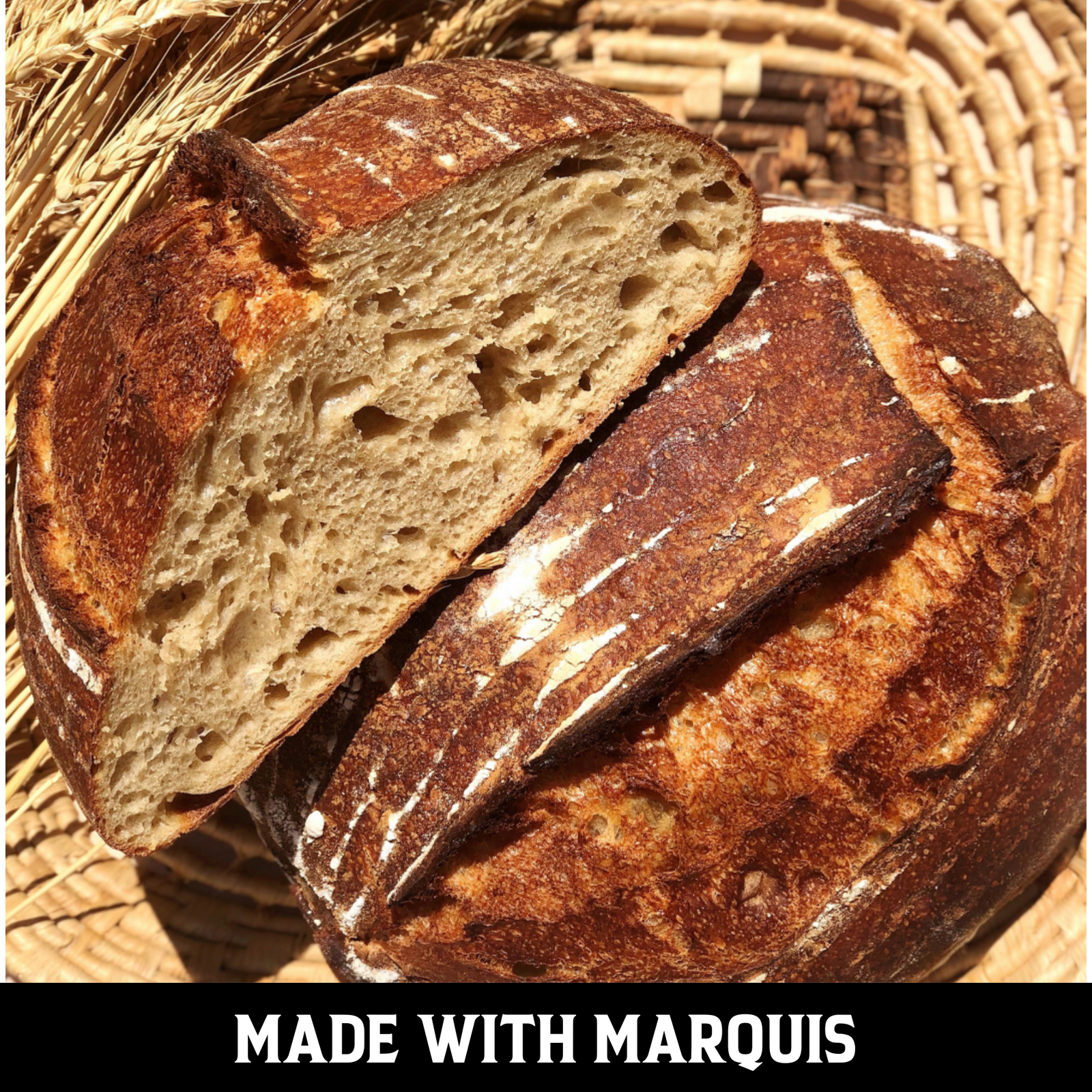 Marquis Flour (certified organic)