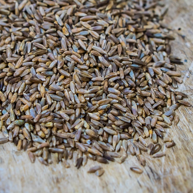 Wrens Abruzzi heirloom rye on table