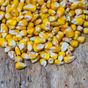 Bulk Corn Products (certified organic)